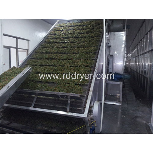 Commercial Food Dryer Machine